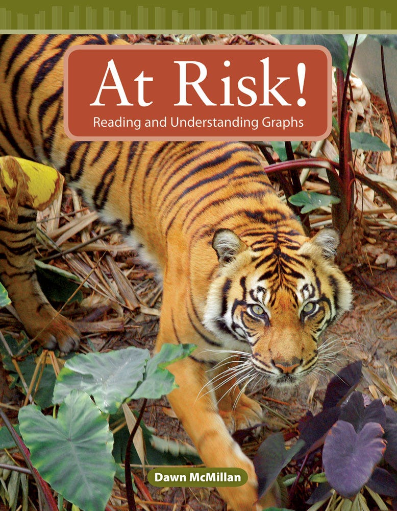 At Risk! Ebook