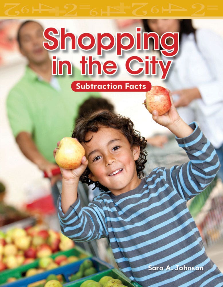 Shopping in the City Ebook
