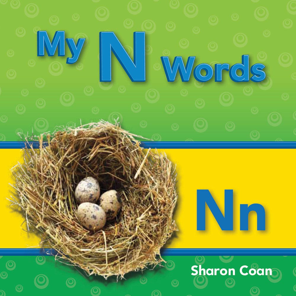 My N Words Ebook