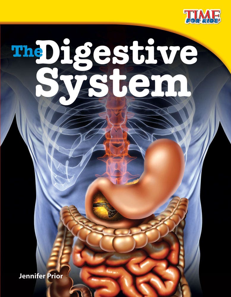 The Digestive System Ebook