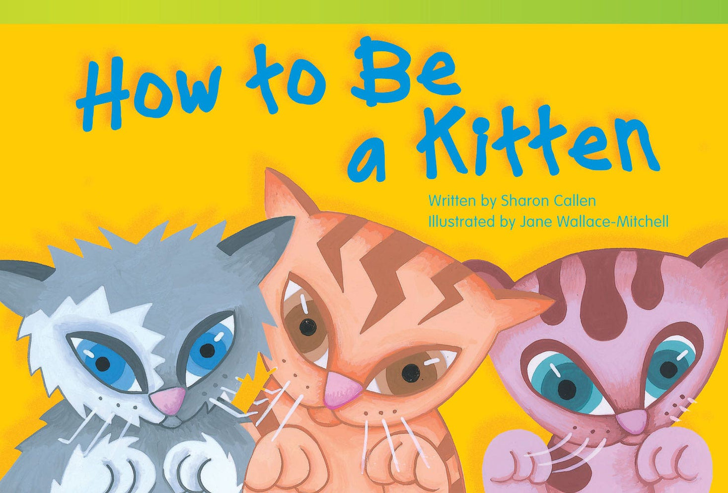 How to Be a Kitten Ebook