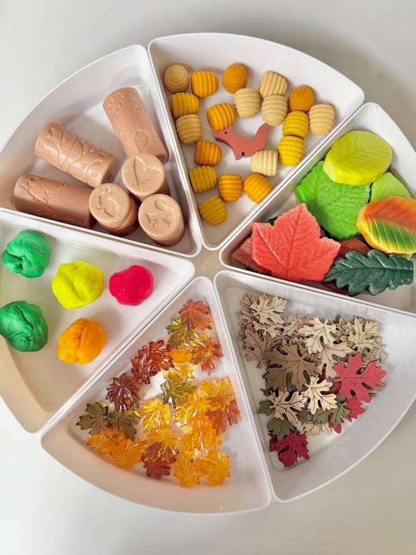 Sensory Play Stones Leaves