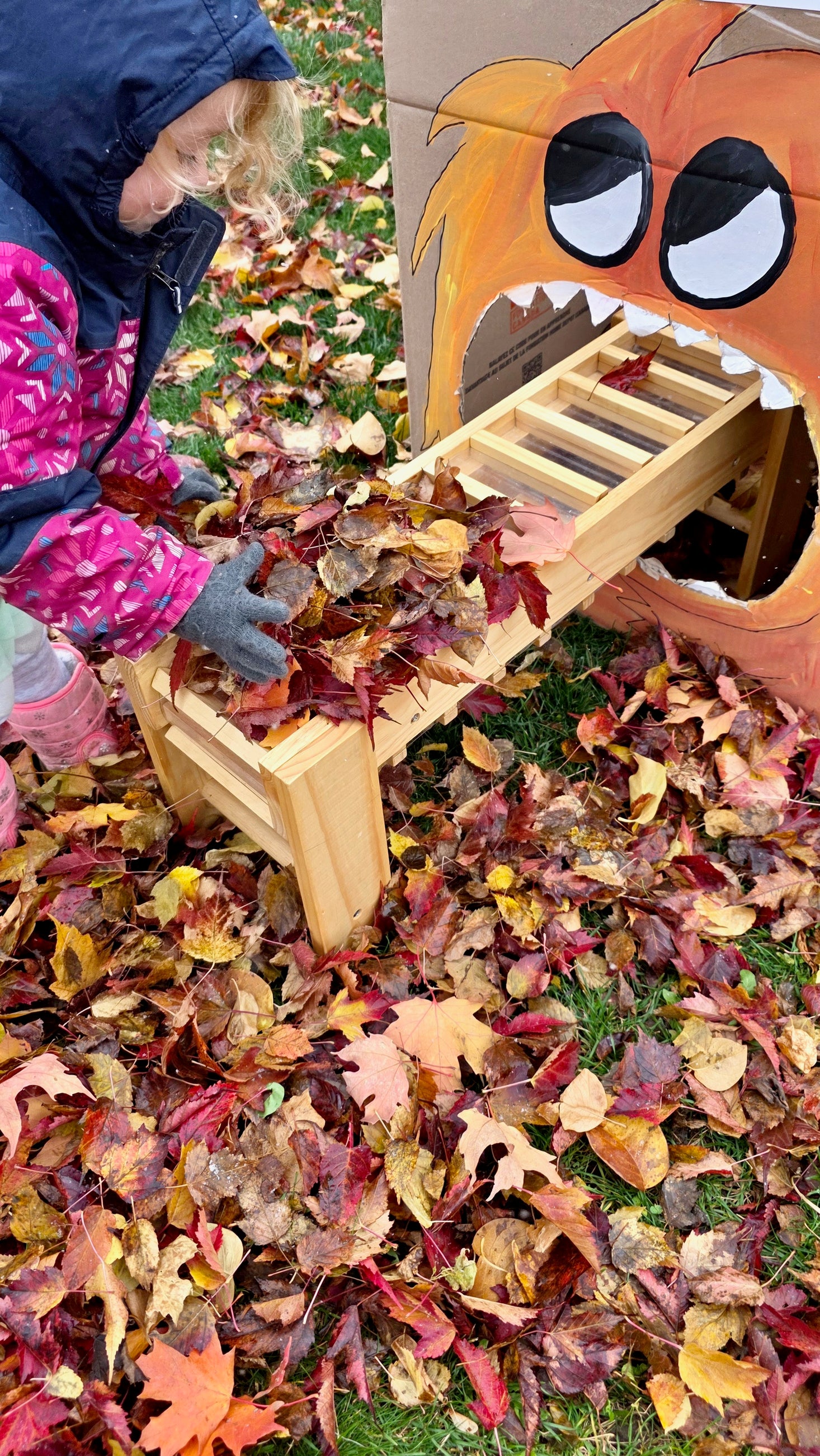 Wooden Conveyor Belt