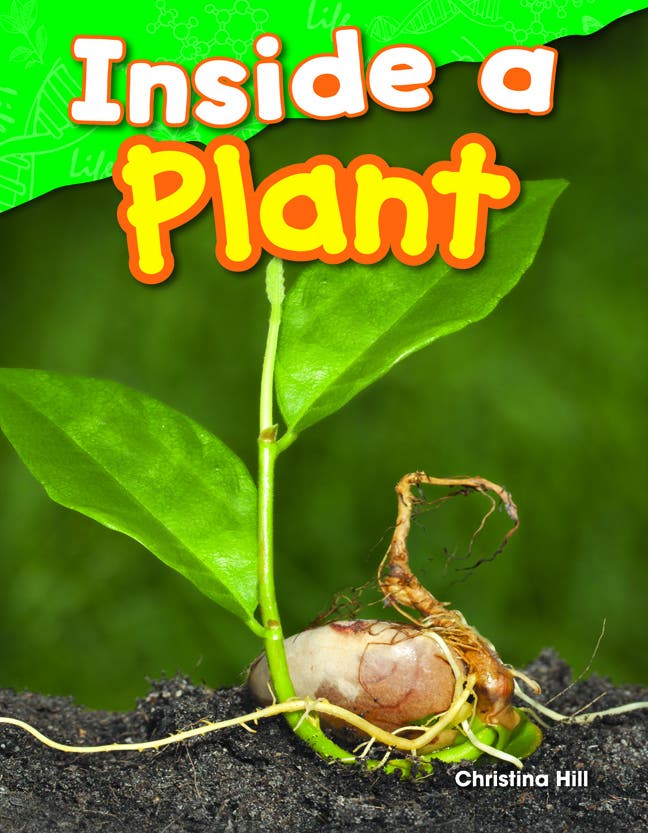 Inside a Plant Ebook