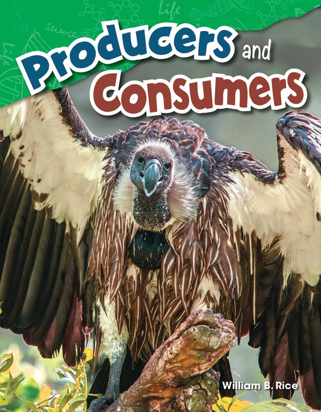 Producers and Consumers Ebook