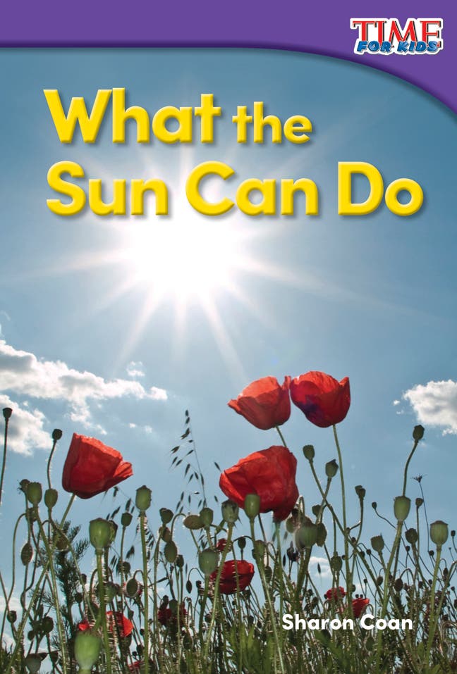 What the Sun Can Do Ebook