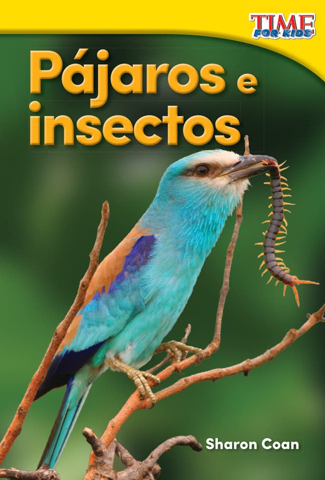 Pajaros e insectos (Birds and Bugs) Ebook