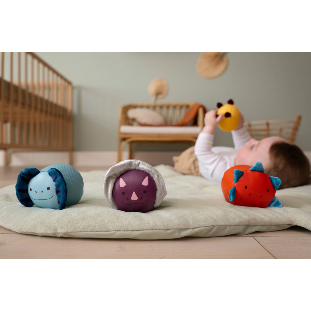 Roly Poly Balls Dino Set of 4