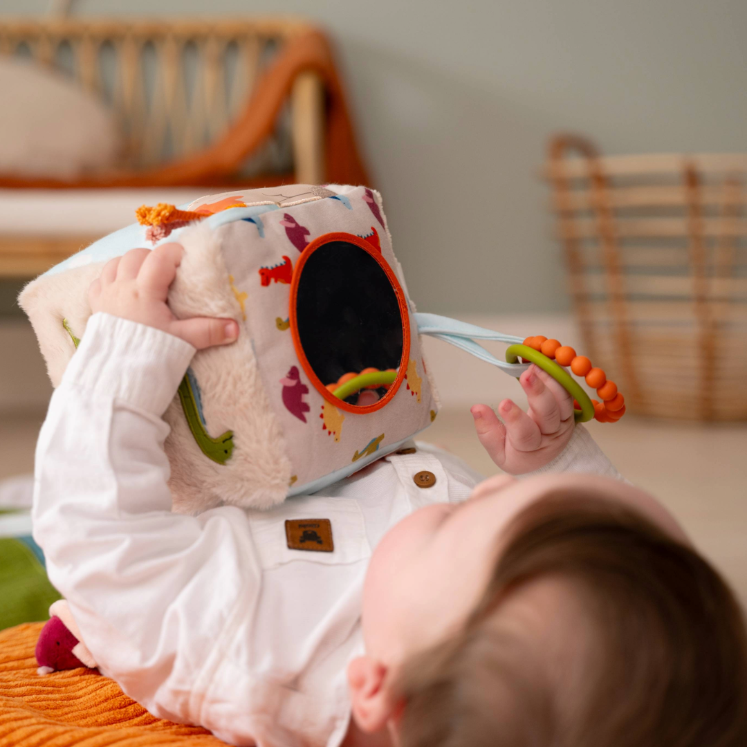 Soft Activity Cube Dino