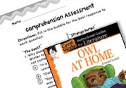Owl at Home Comprehension Assessment Ebook