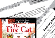 The Fire Cat Vocabulary Activities Ebook