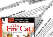 The Fire Cat Leveled Comprehension Questions Ebook