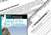 Island of the Blue Dolphins Leveled Comprehension Questions
