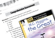 M.C. Higgins the Great Comprehension Assessment Ebook