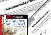 My Brother Sam Is Dead Vocabulary Activities Ebook