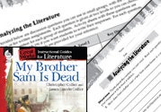 My Brother Sam Is Dead Leveled Comprehension Questions Ebook