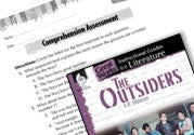 The Outsiders Comprehension Assessment Ebook