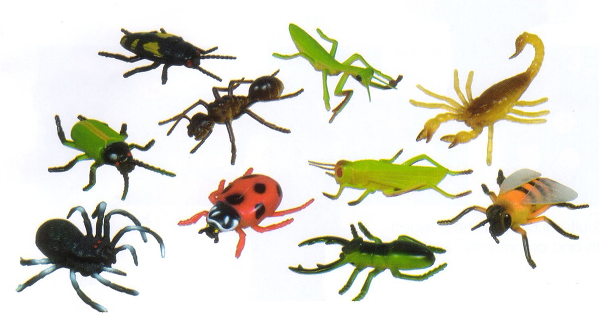 Insects Set of 10 5in