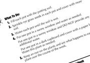 Quick Science Lab Ebook