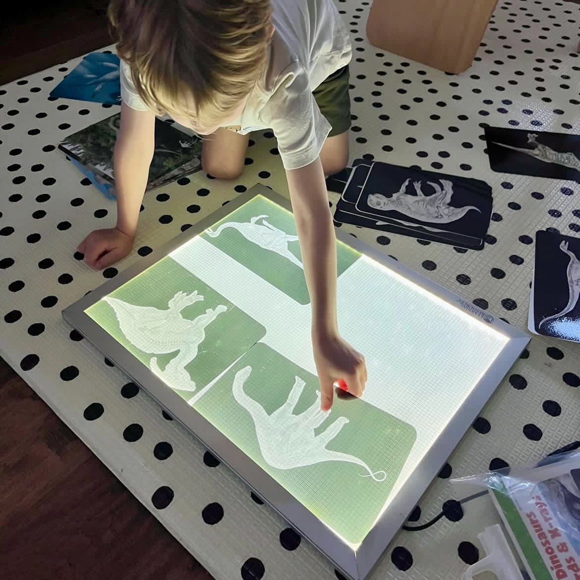Discover Dinosaurs Picture Cards and X-rays