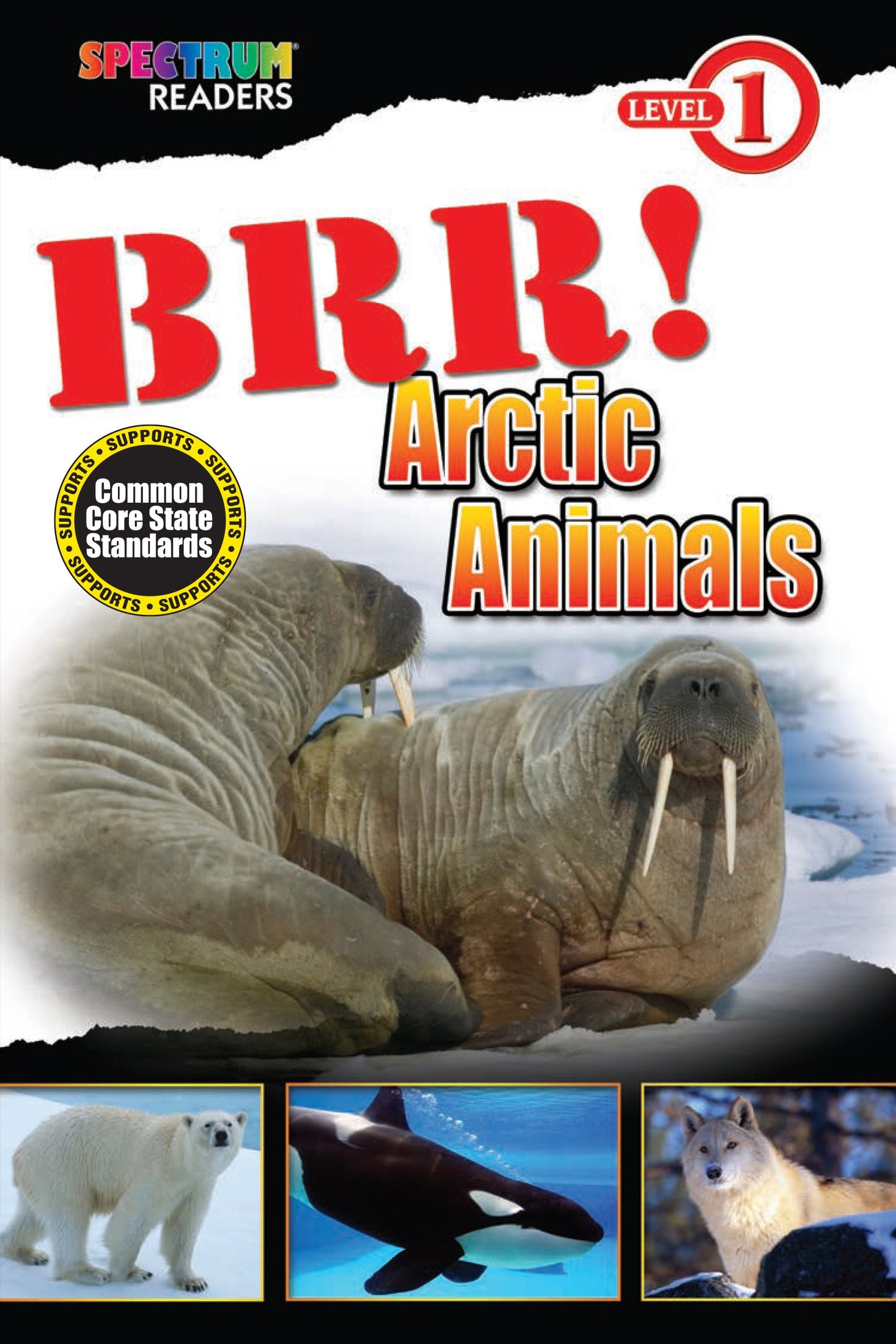 Brr! Arctic Animals Ebook