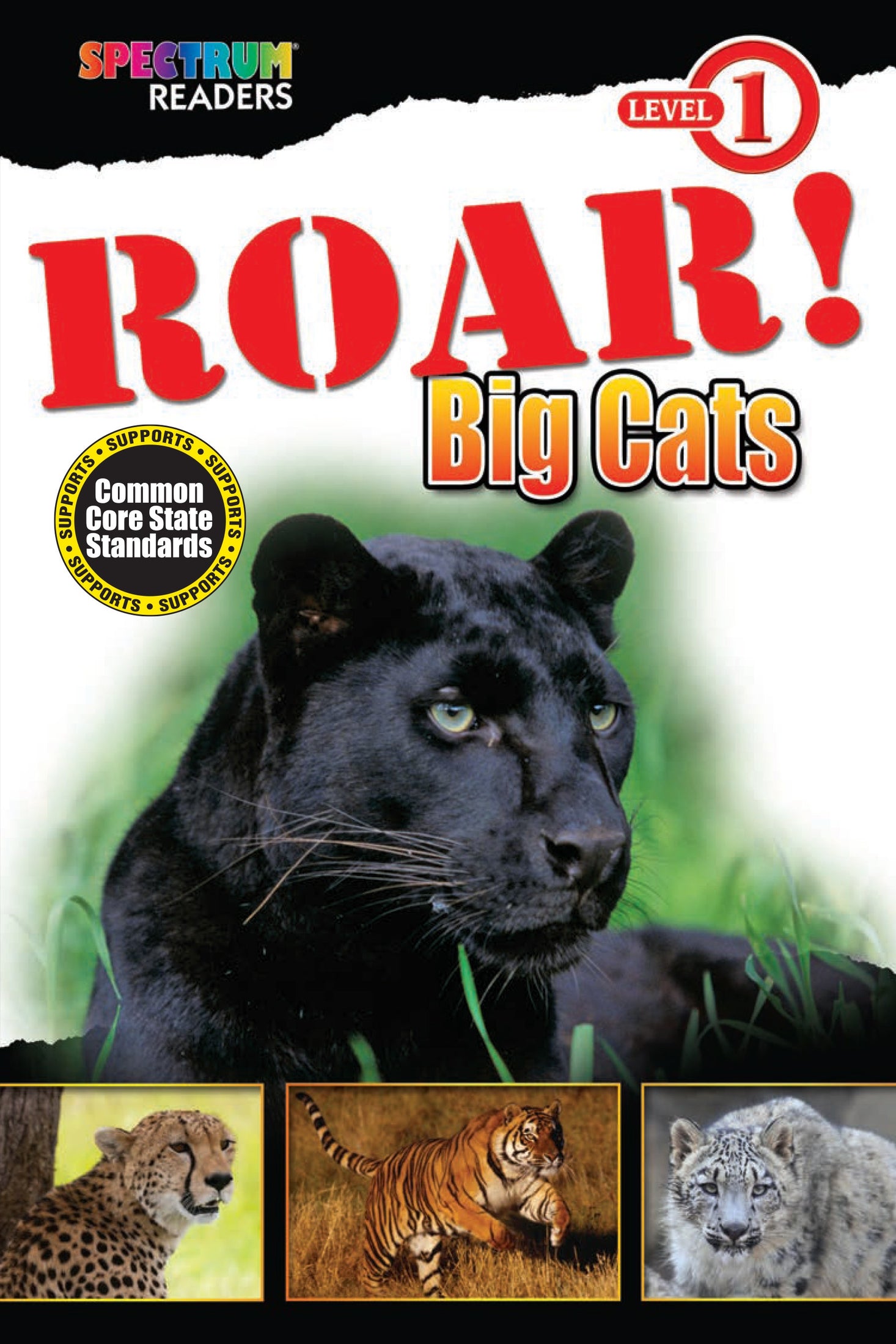 Roar! Big Cats Ebook