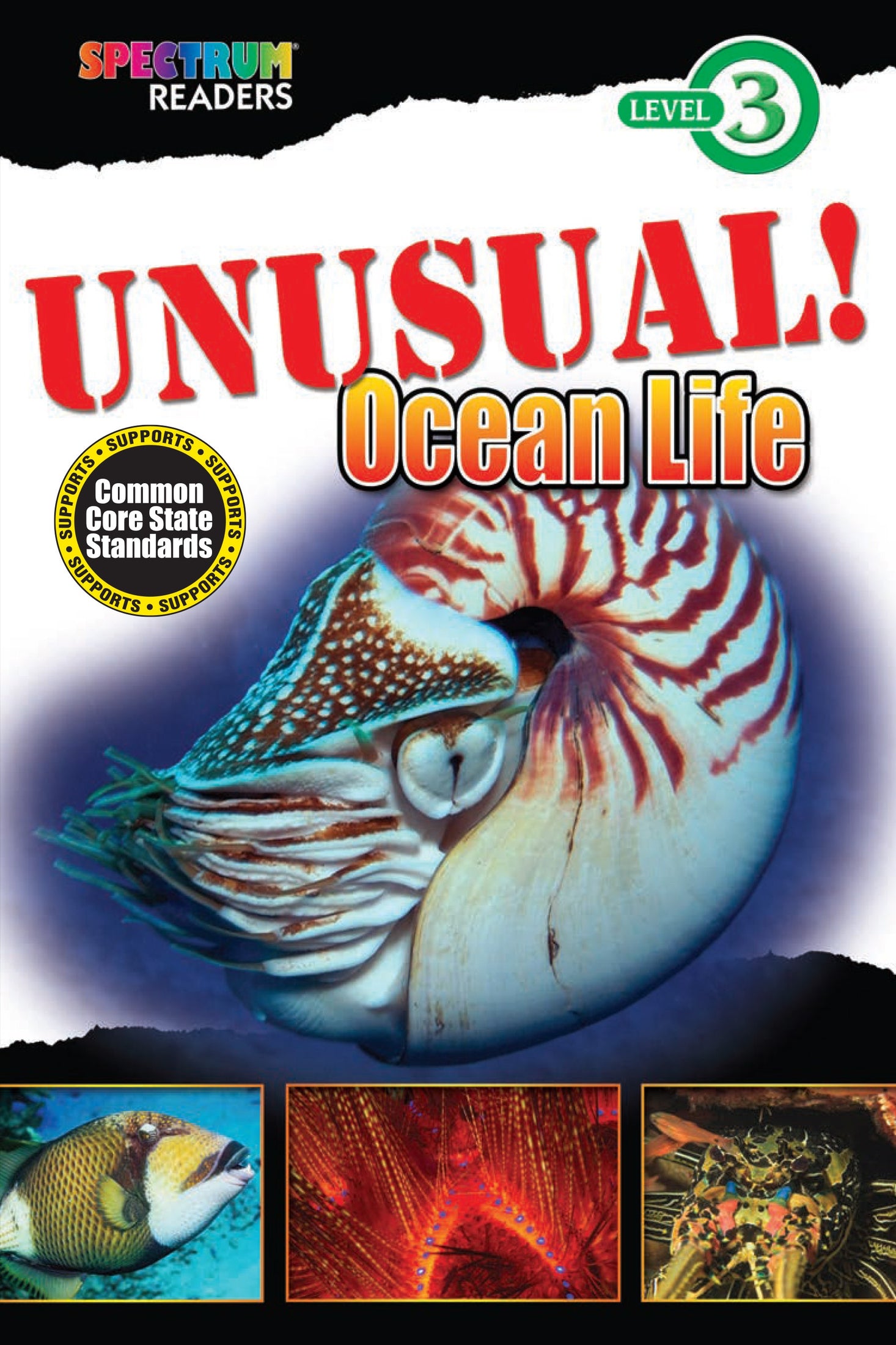 Unusual! Ocean Life Ebook