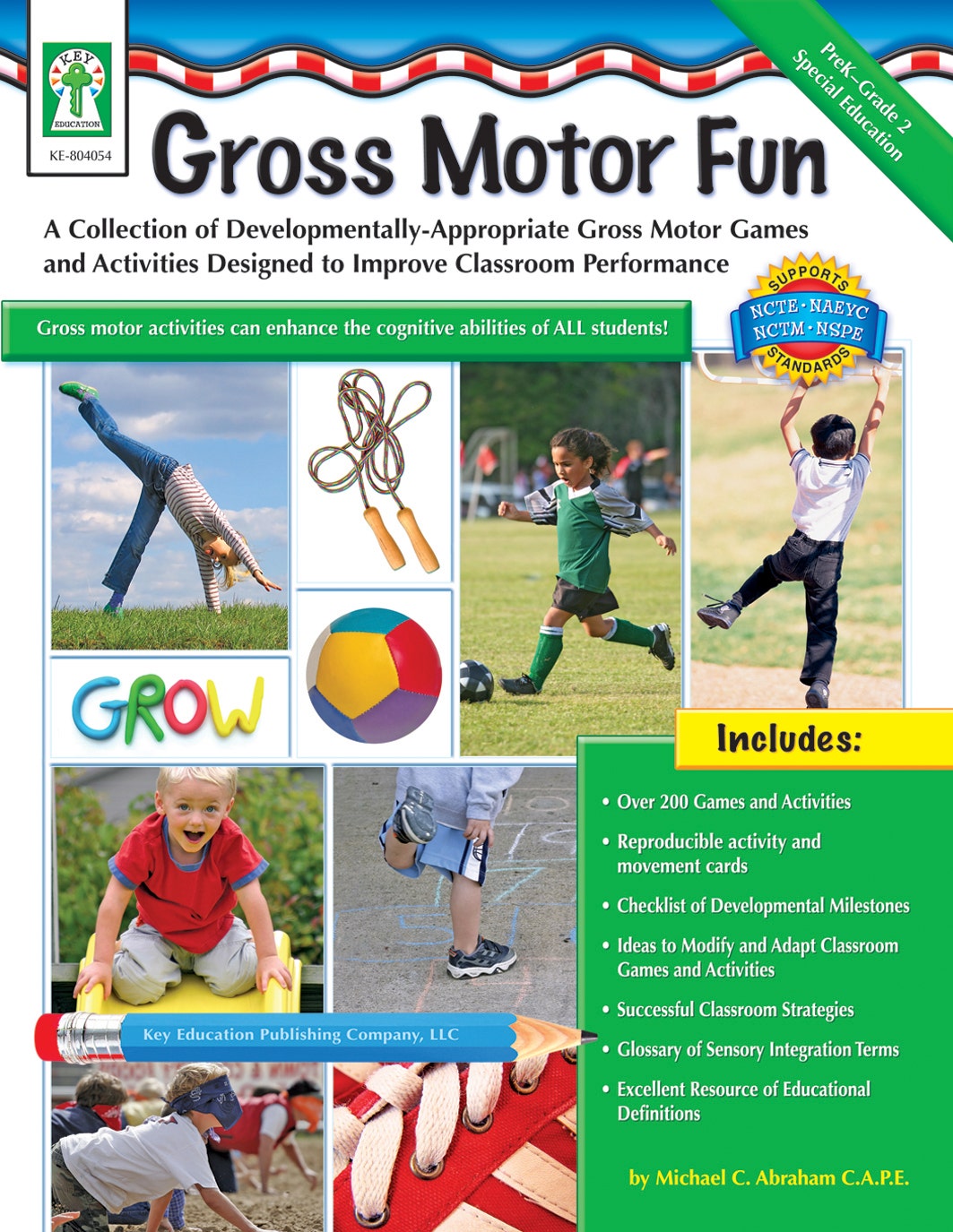 Gross Motor Fun Ebook