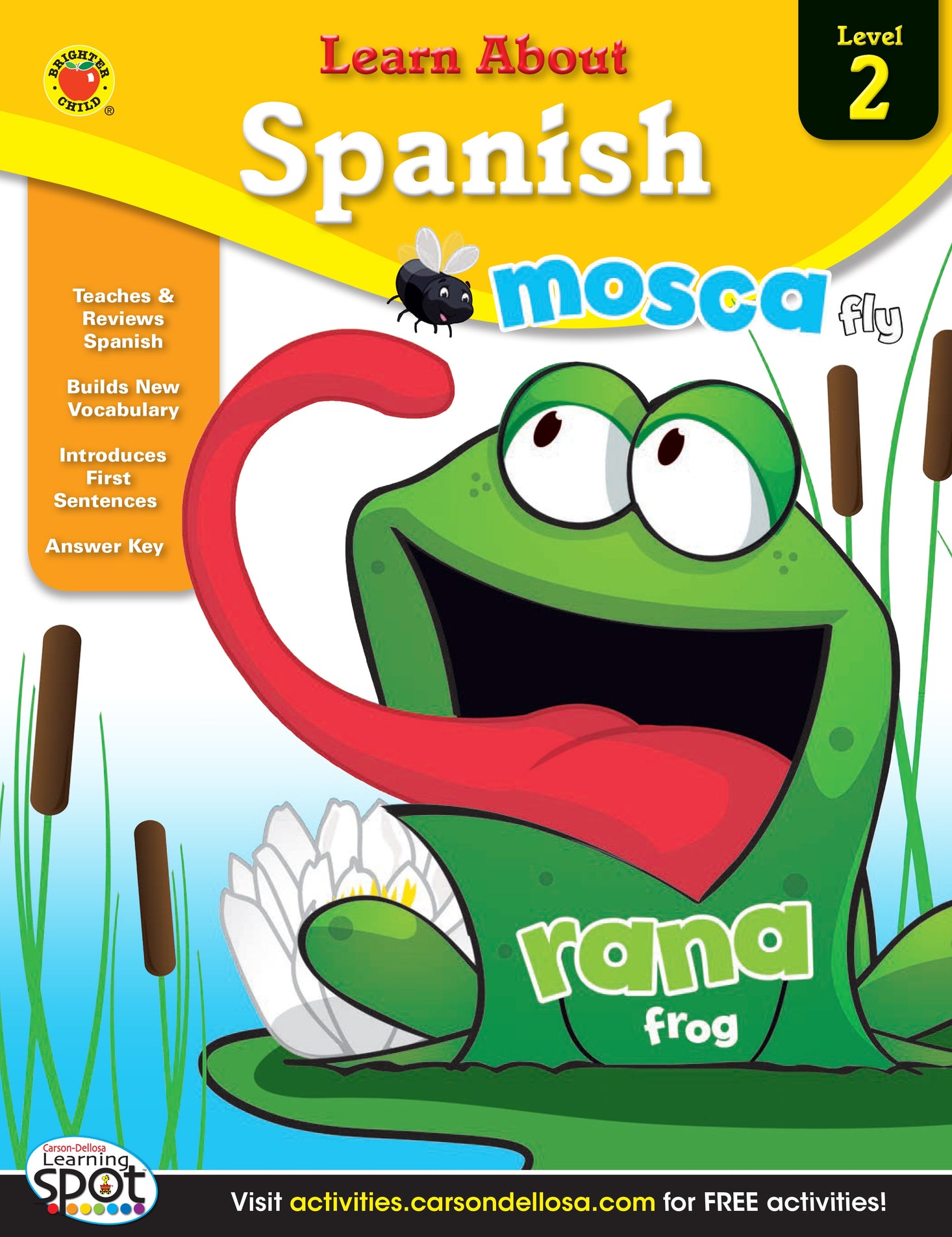 Learn About Spanish (Volume 2) Ebook