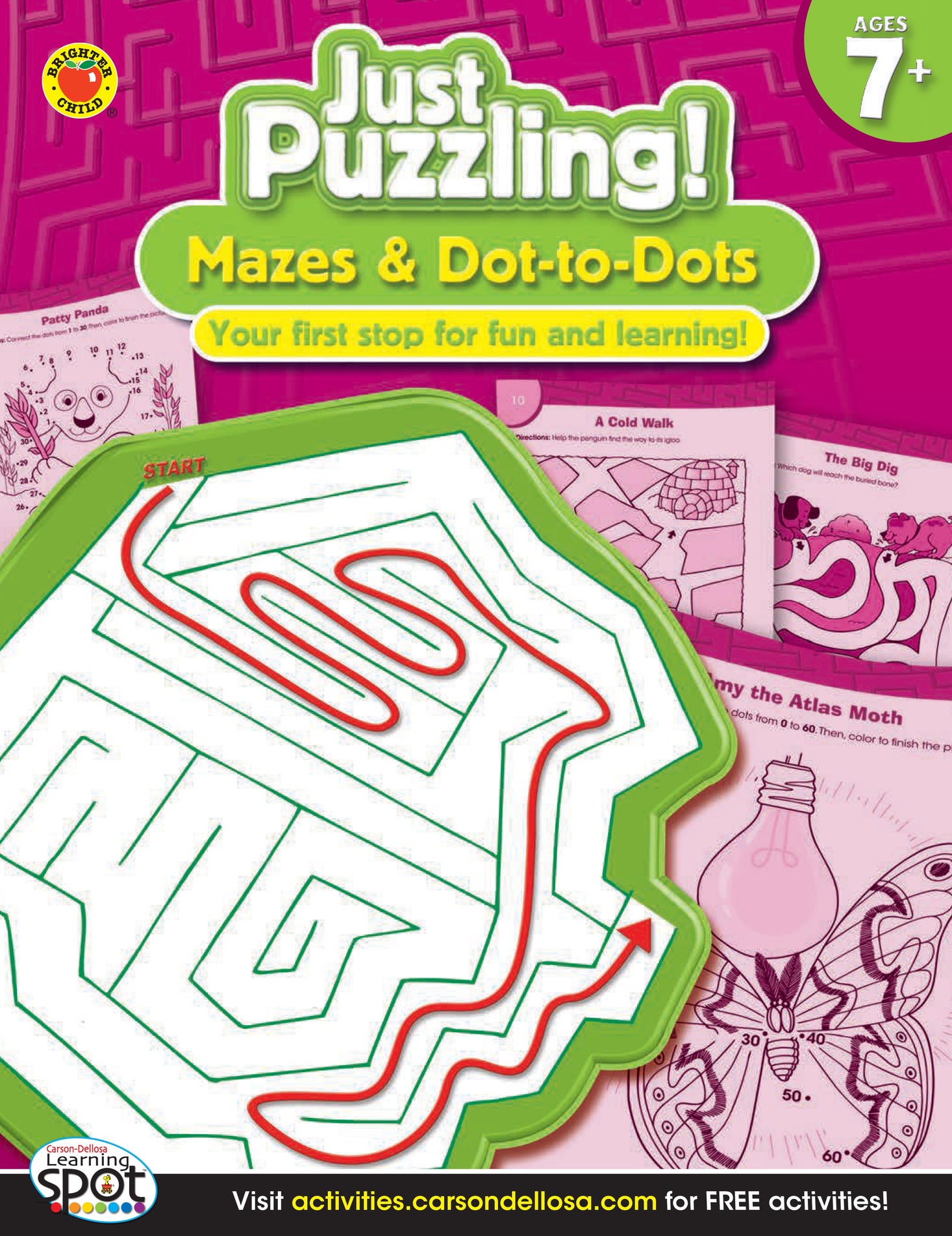 Mazes and Dot-to-Dots (Grades 2-4) Ebook