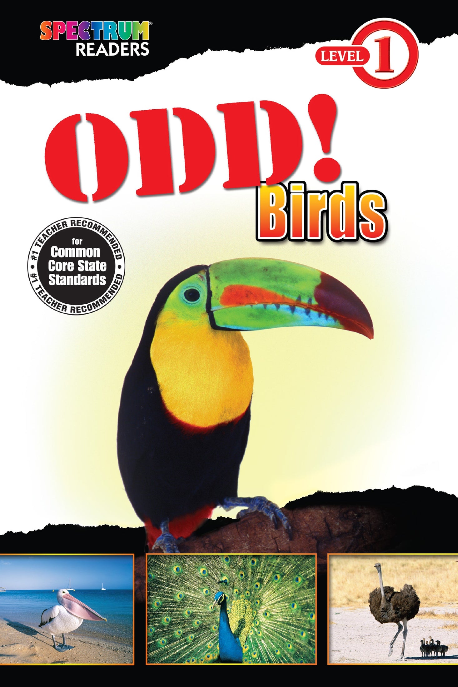 Spectrum Readers Level 1: Odd! Birds Ebook