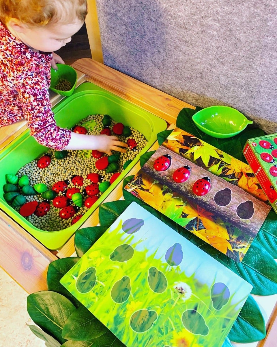Ladybug Counting Stones