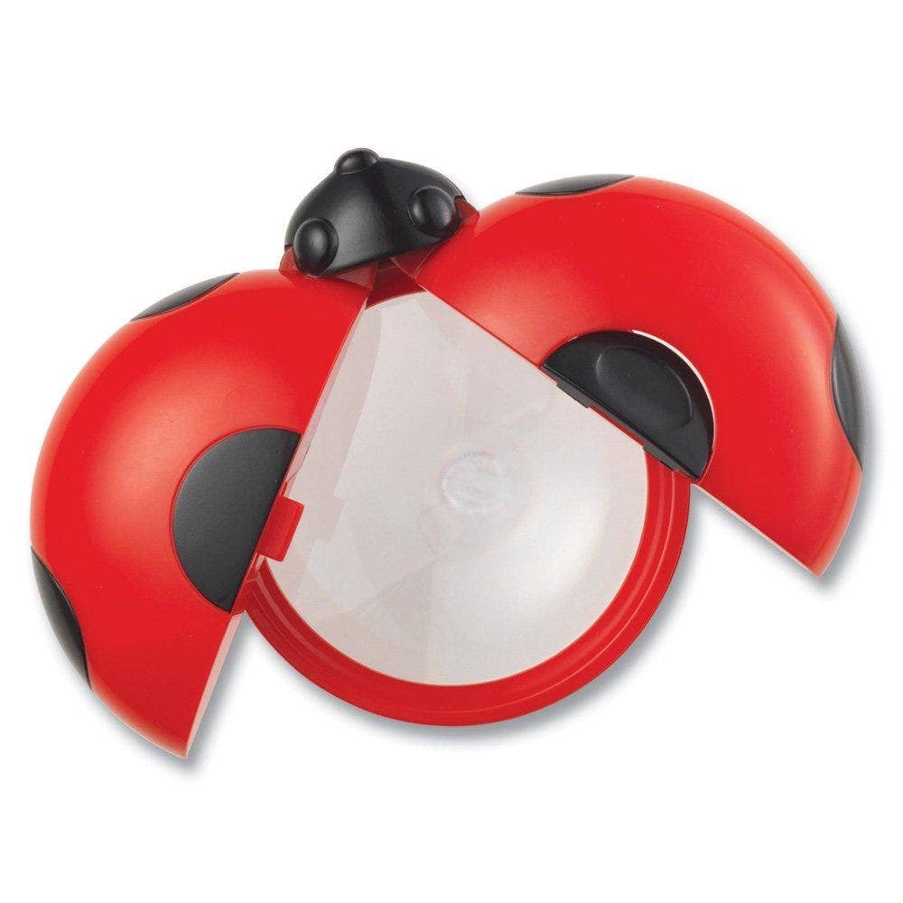 Big View Bug Jar Set of 6