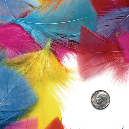 Rainbow Feathers Classroom Pack