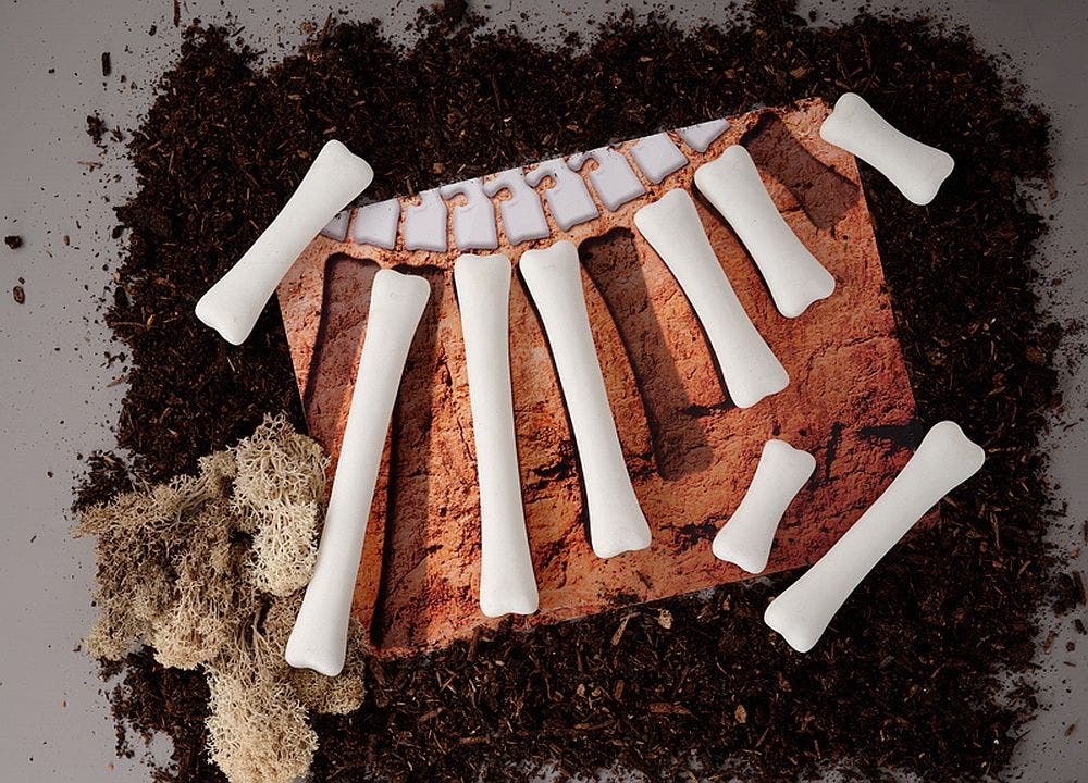 Dinosaur Bones Match and Measure Set
