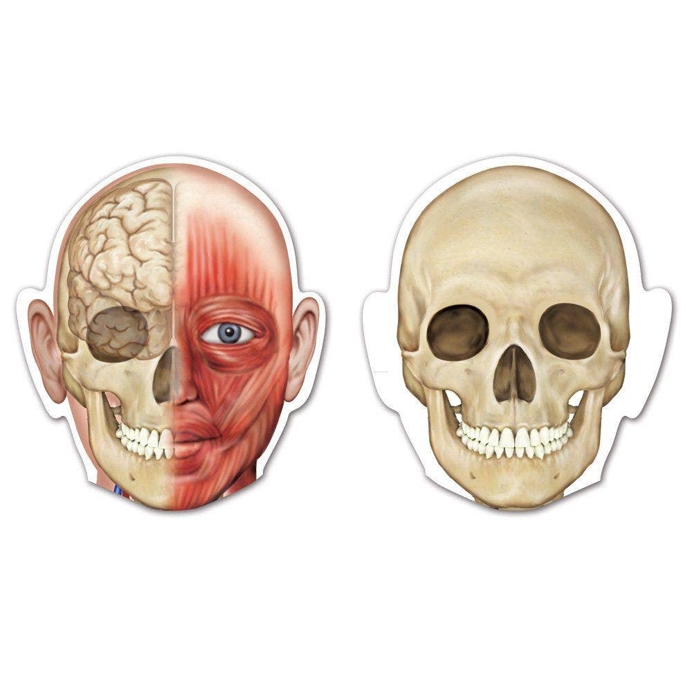 Double Sided Magnetic Human Body