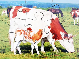 Farm Animals and Their Young Set of 8 Wooden Puzzles