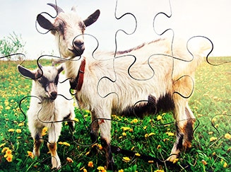 Farm Animals and Their Young Set of 8 Wooden Puzzles