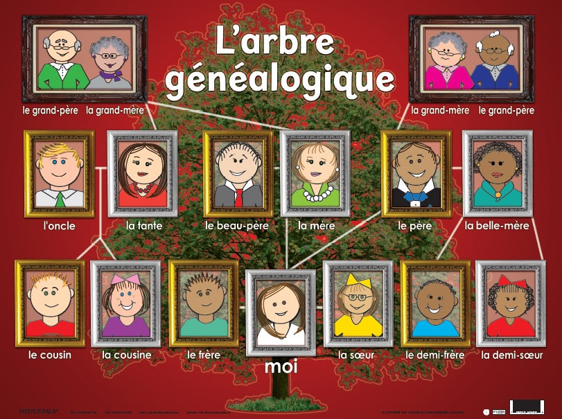 French Beginner Pack 7 pk