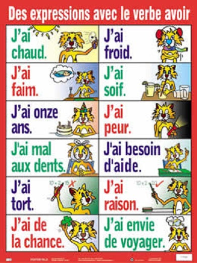 French Verbs and Grammar Set 7 pk