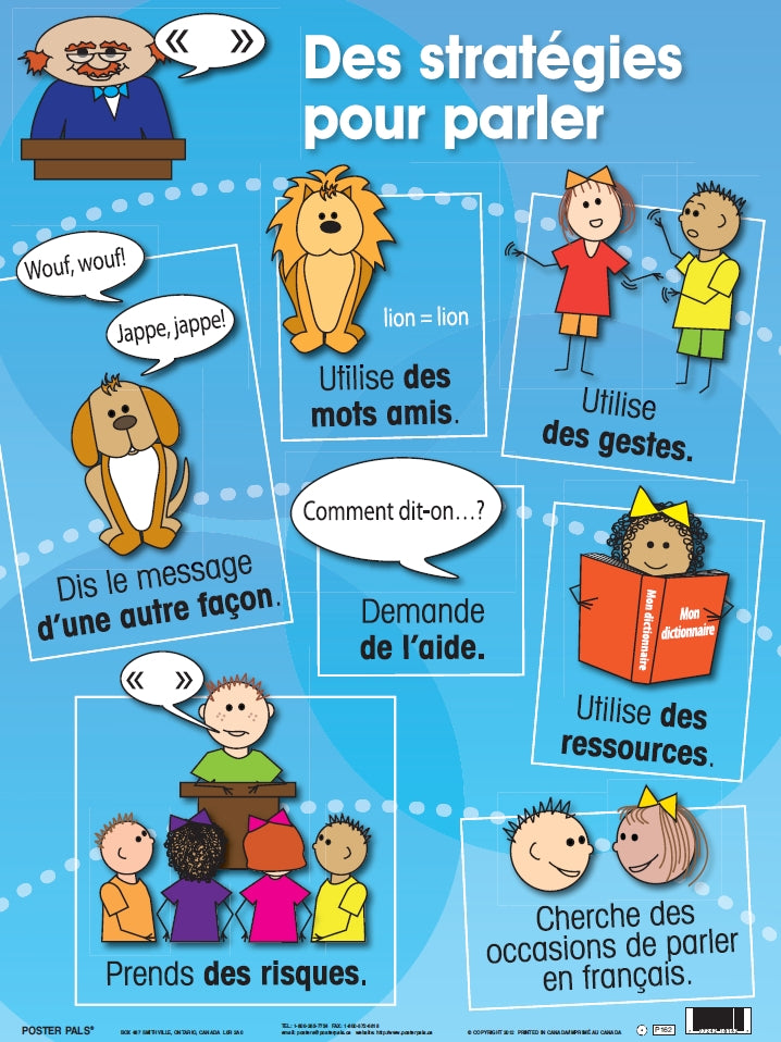 French Writing & Strategy Pack 5 pk