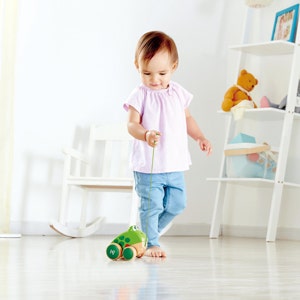 Frog Pull Along by Hape