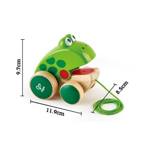 Frog Pull Along by Hape