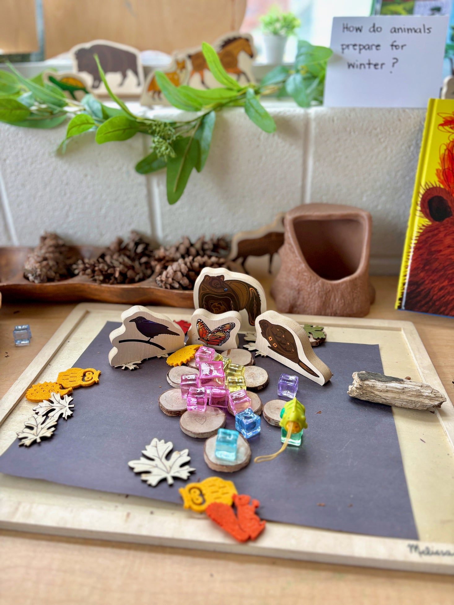 Indigenous Small World Set