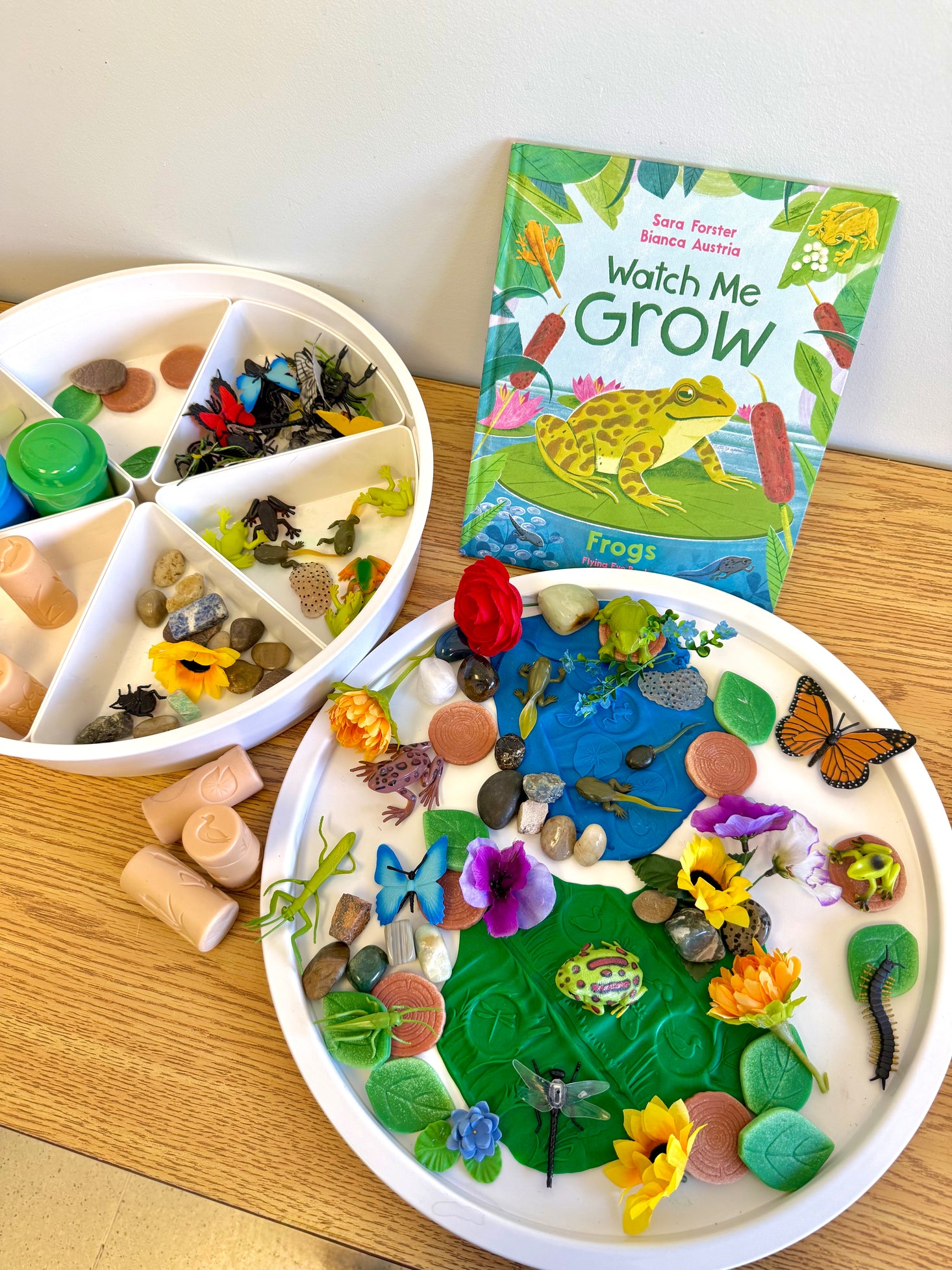 Watch Me Grow: Frogs