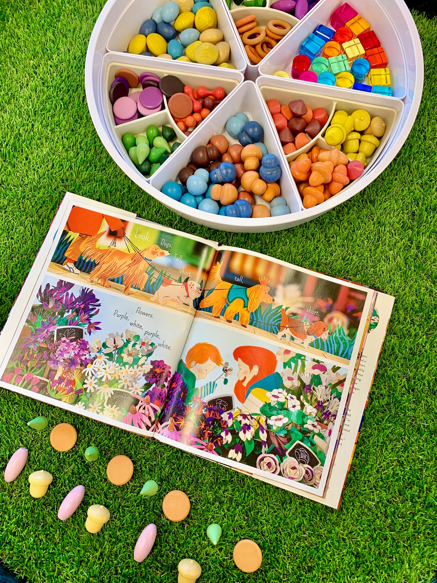 Wooden Treasures Sorting Set
