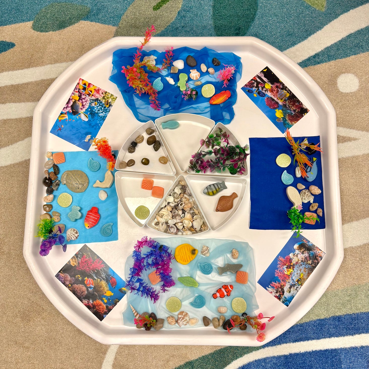 Sensory Play Stones Fish