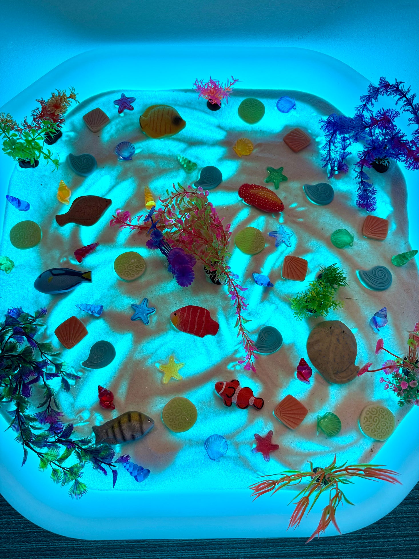 Sensory Play Stones Fish