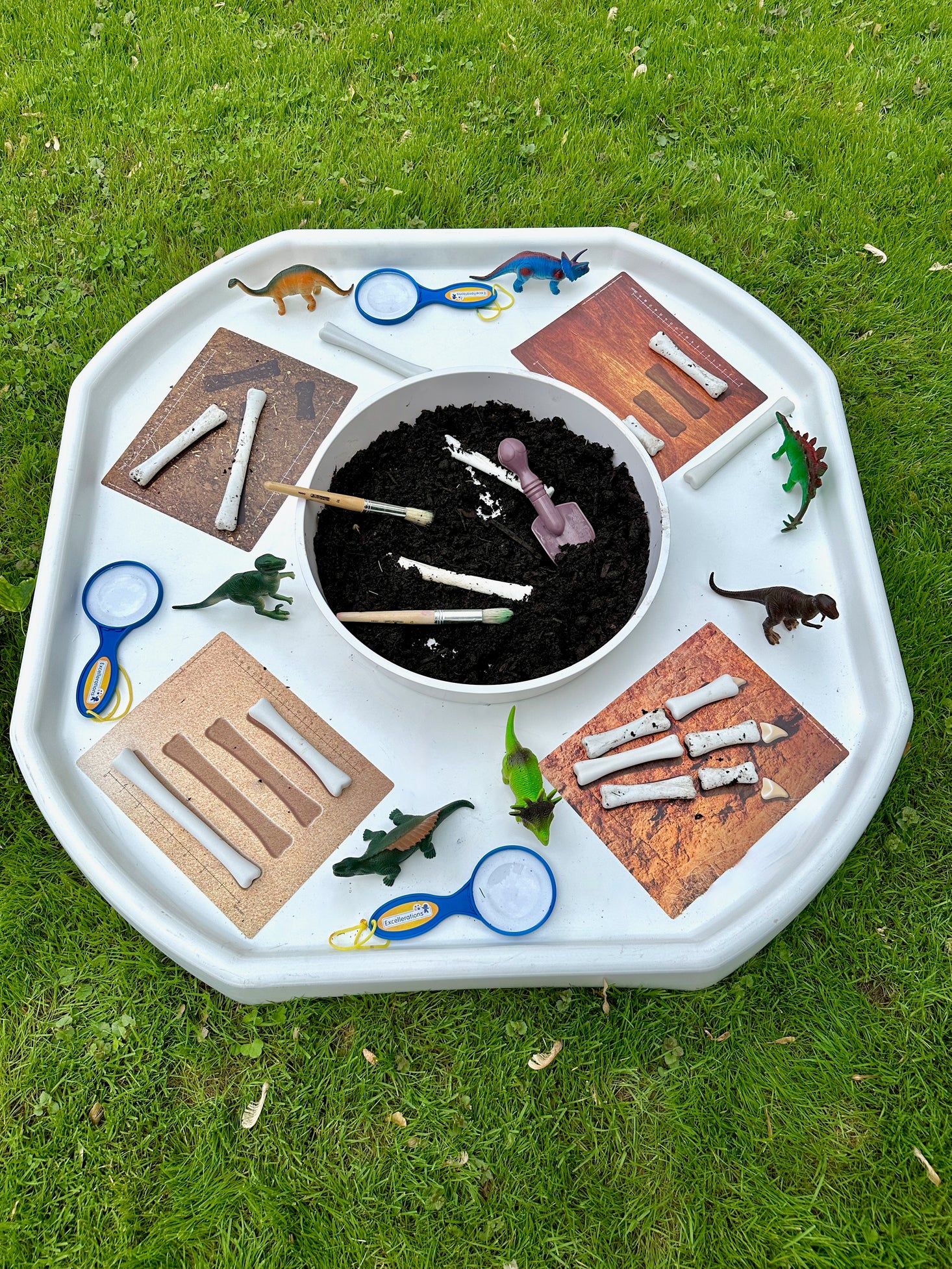 Dinosaurs Playset