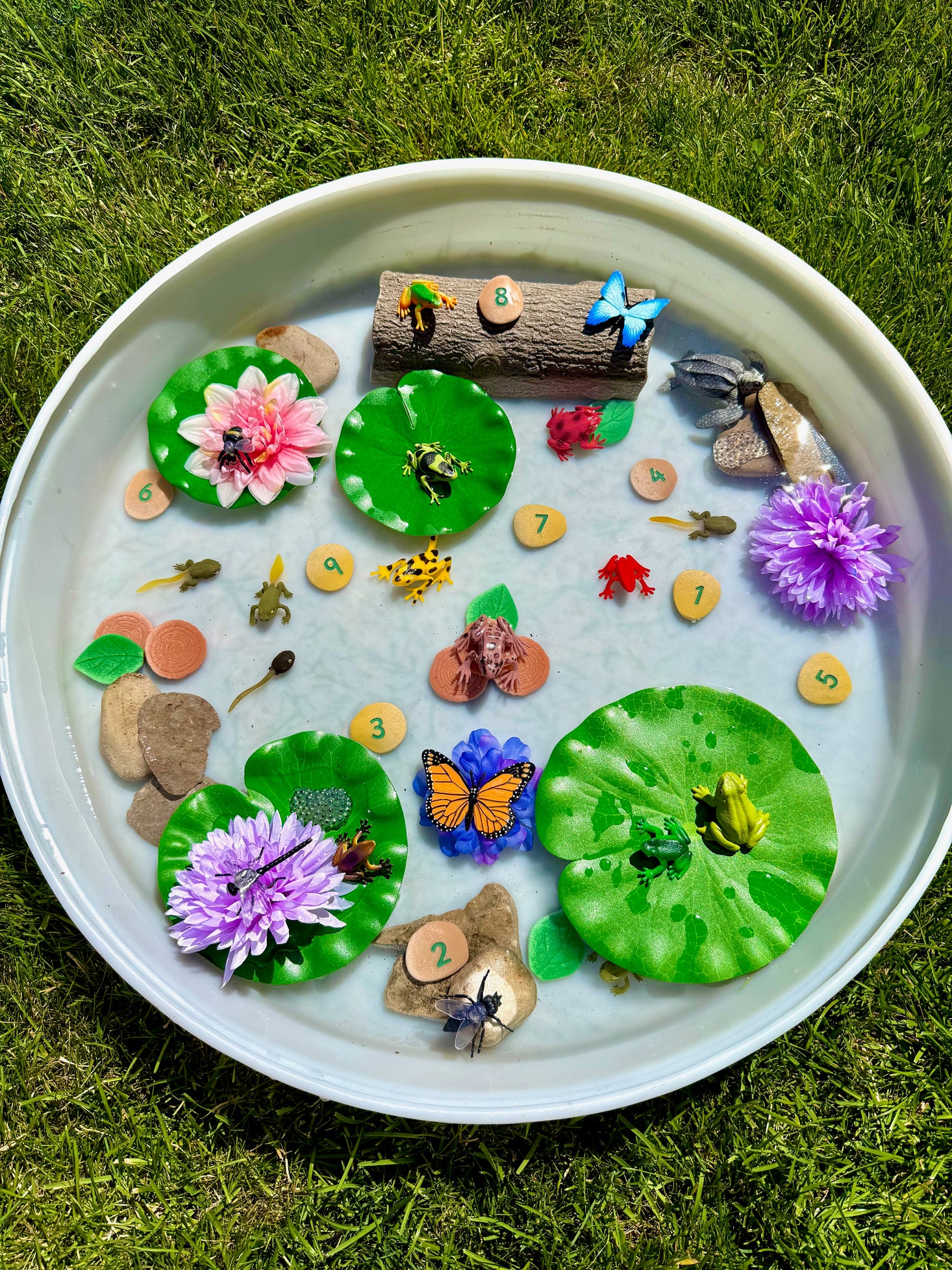 Forest Play Scenery Stones